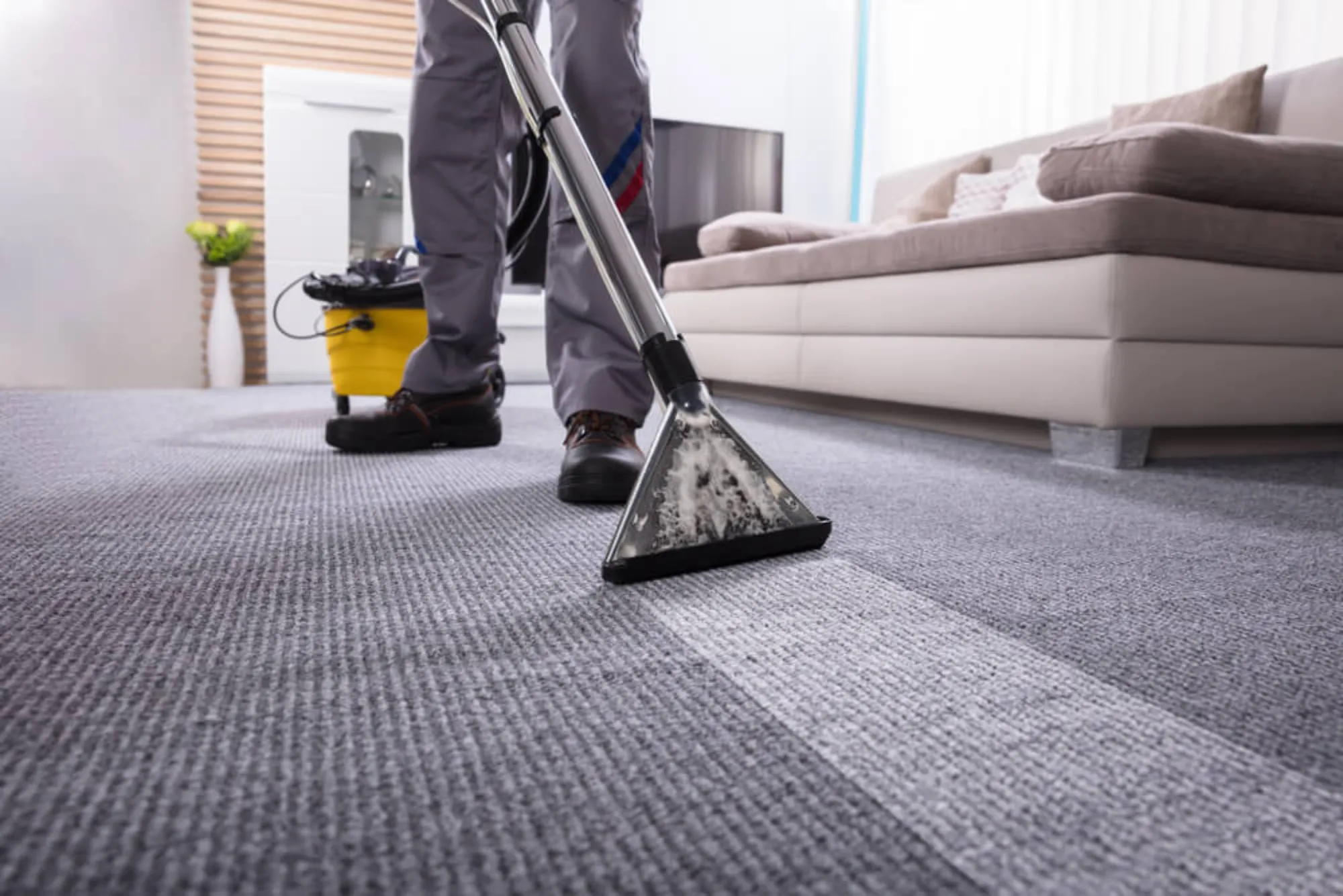 Carpet Cleaning Services