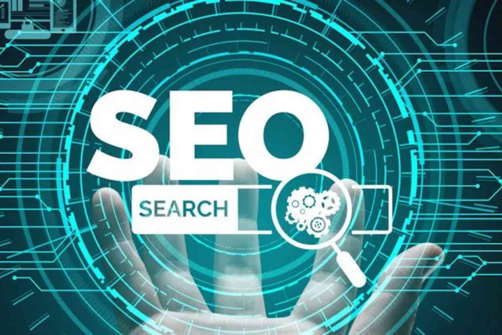 Affordable SEO Tools For Web Designers on A Practical Budget in 2026